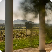 Vineyard landscape behind pillars